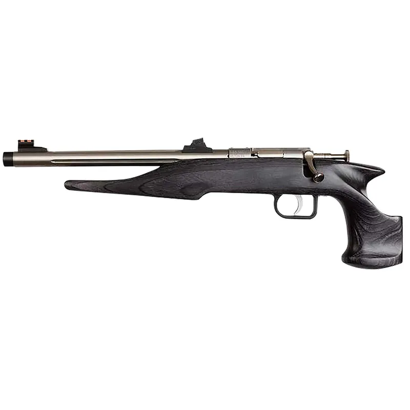 Chipmunk 40103 Hunter Youth Frame 22 LR Single Shot 9" Threaded Stainless Steel Barrel, Black Laminate Frame