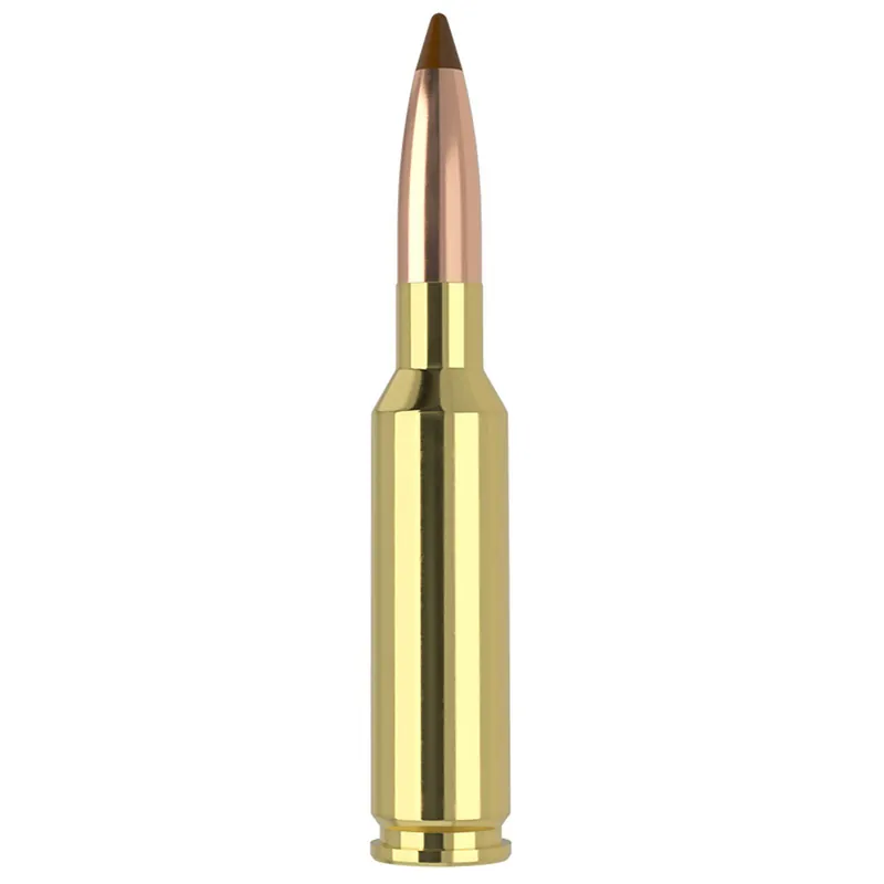 Nosler 61053 6.5x55Swedish 140gr Ballistic Tip 20 Per Box/10 Case