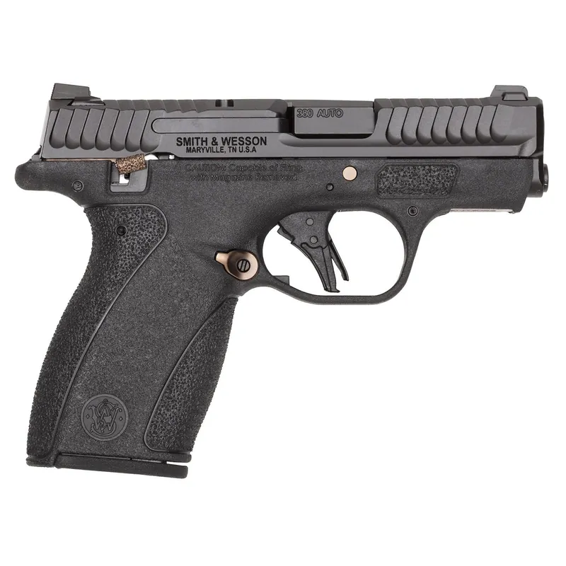 S&W BODYGRD 2.0 380ACP 14660 TS RGPVD