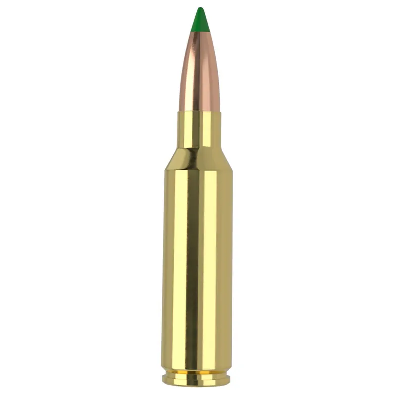 Nosler 61035 300WSM 165gr Ballistic Tip 20 Per Box/10 Case