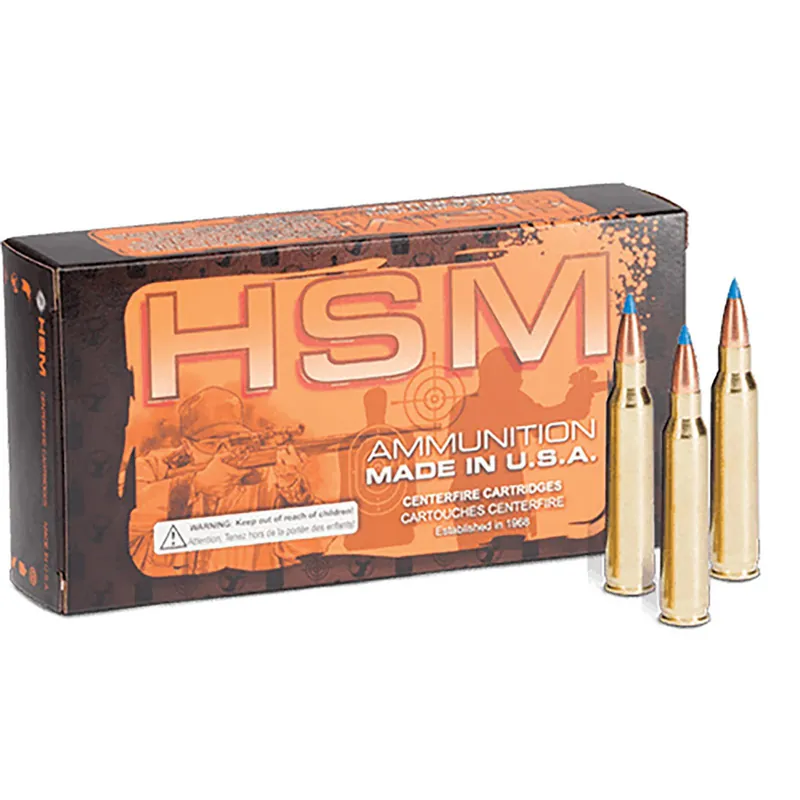 HSM 204R3N 204Ruger 32gr BlitzKing 20 Per Box/20 Case