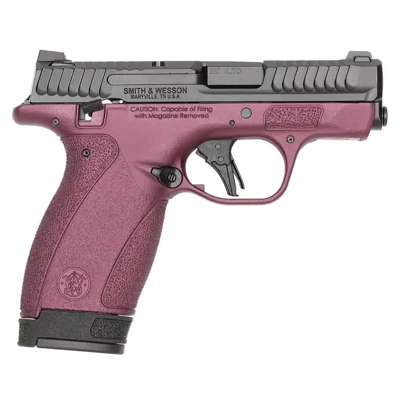 S&W BODYGRD 2.0 380ACP 14661 TS H-319 BCF
