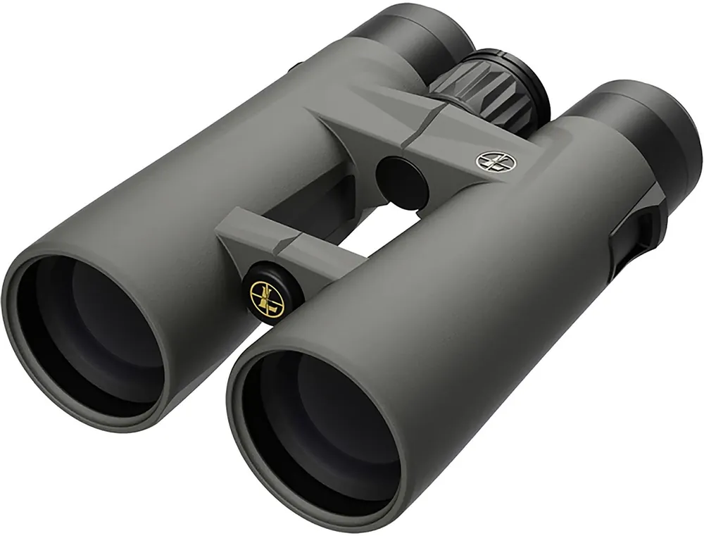 Leupold BX-4 Pro Guide HD Gen2 10x50mm Binoculars