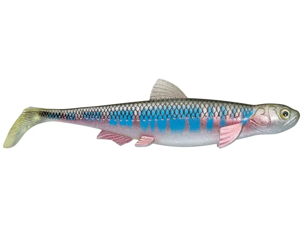 Evergreen Last Ace 140 Swimbait - Oikawa