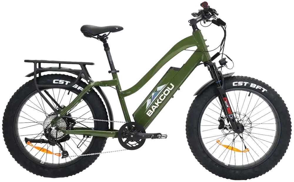 Bakcou E-bikes Flatlander ST 24 E-Bike Gloss Army Green