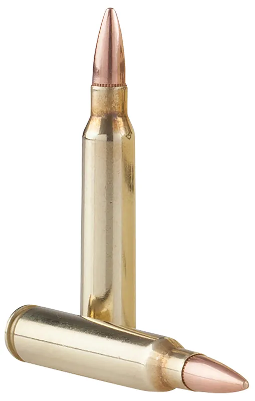 PPU Range Master 5.56x45mm NATO Ammo 55 gr Full Metal Jacket Boat Tail 125 Rounds PPRM5561P