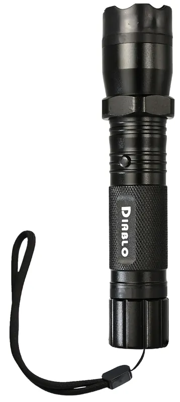 Skyline USA Diablo Stun Gun with Flashlight Black TLSGGDD