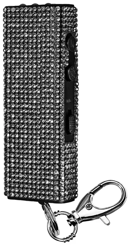 Skyline USA Stun Gun Bring-It-On With Flashlight Black SGGDBOBK