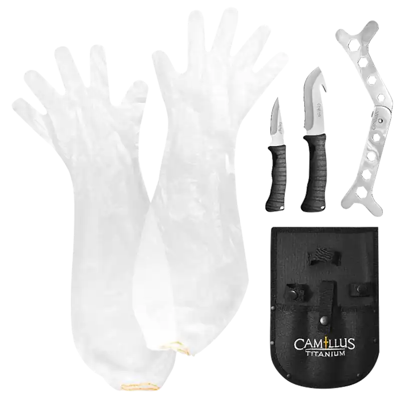 Camillus Hunting Kit Fixed Caper/GutHook Plain Titanium Nitride Coated Includes Gloves, Sheath, Rib Spreader19439