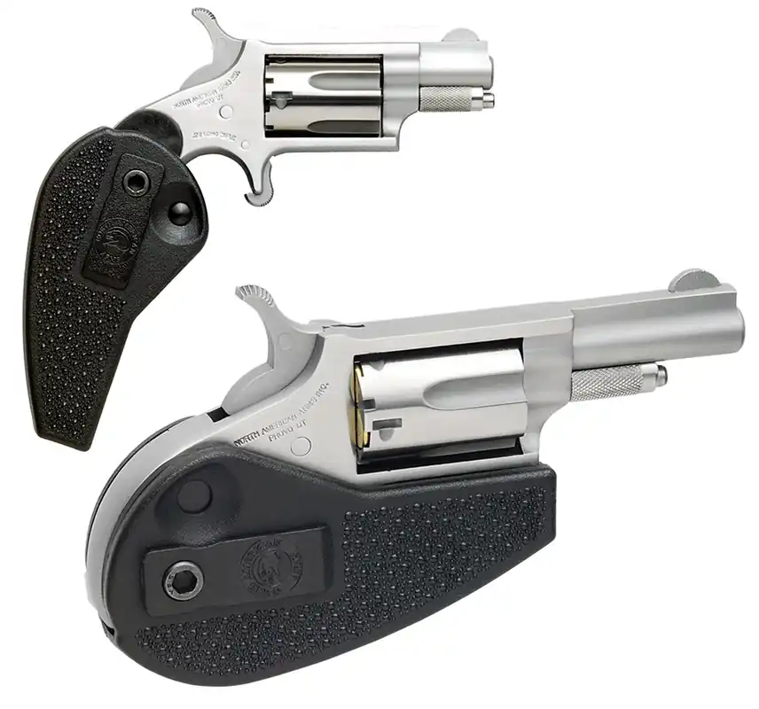 NAA Mini Revolver Combo 22LR/22WMR 1 1/8" Mt Stainless